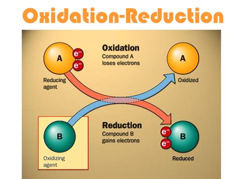 Task Oxidation And Reduction Principles In Biochemistry