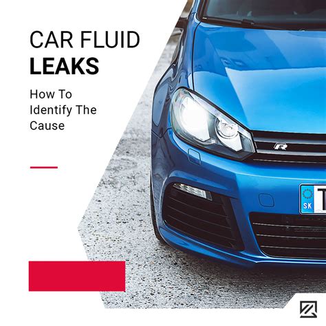 Car Fluid Leak Diagram