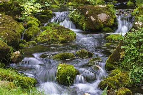 Mountain Stream Cascading Over Moss Covered Rocks Wot Long Expos Stock