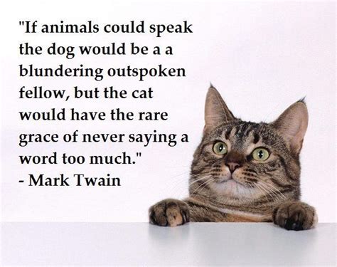 Mark Twain Quote Cats Cat Quotes Cat Uk