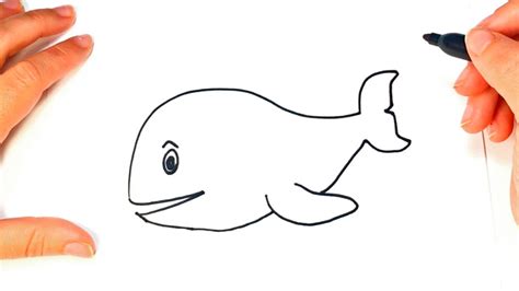 Ver más ideas sobre ballenas, ballenas dibujo, tatuajes de ballenas. Cómo dibujar una Ballena paso a paso | Dibujo fácil de ...