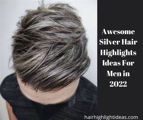 Awesome Silver Hair Highlights Ideas For Men In 2022 Hair Highlights Idea