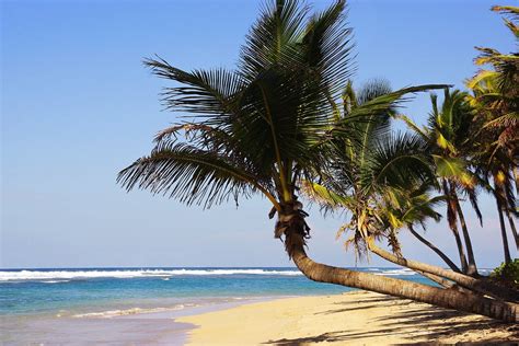 The Dominican Republic Announces Tourism Recovery Plan Doing Business