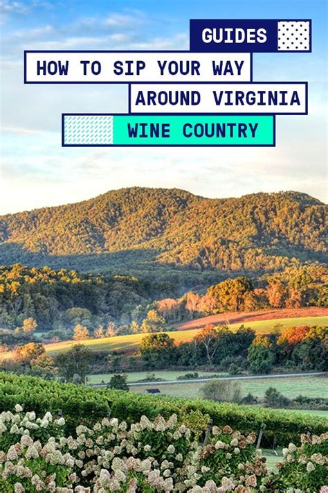 Discover Virginia Wine Country
