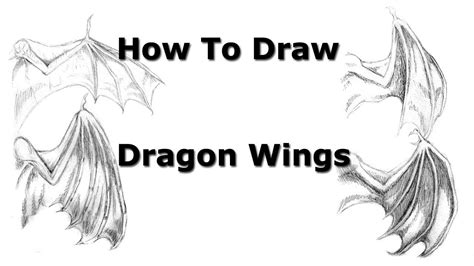 How To Draw Dragon Wings Part 1 Youtube