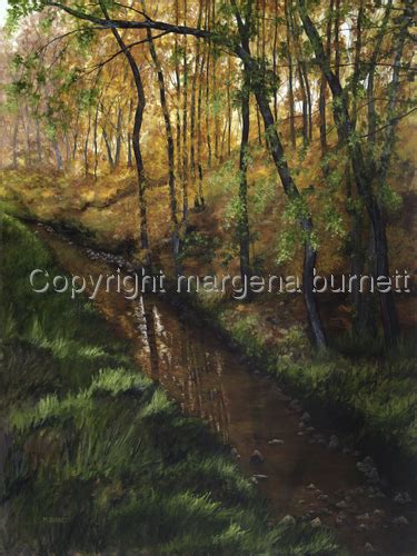 Autumn Stream Original Art By Margena Burnett