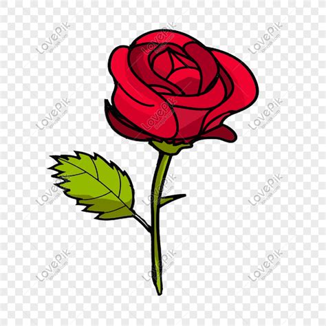 Gambar Ilustrasi Bunga Mawar Merah Yang Indah Png Unduh Gratis Lovepik