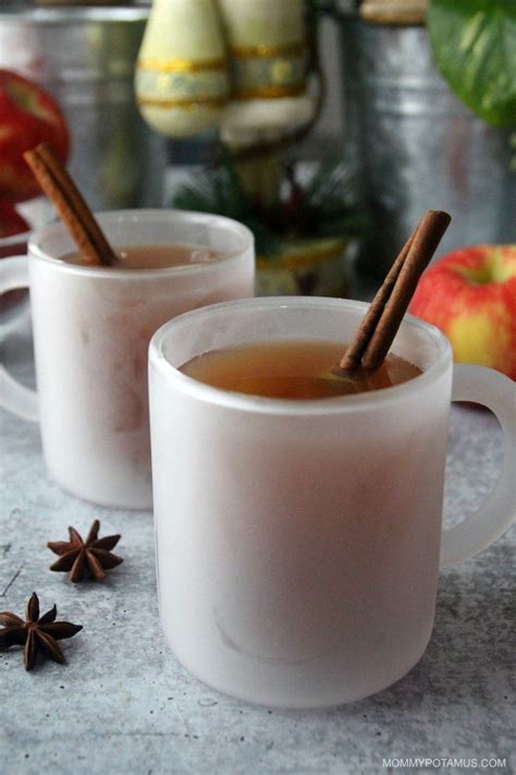 Or i have to remove the. Easy Hot Apple Cider Recipe (Stovetop, Slow Cooker ...