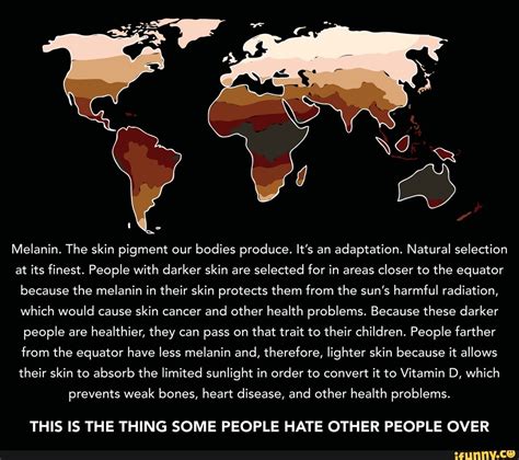 Melanin The Skin Pigment Our Bodies Produce Its An Adaptation