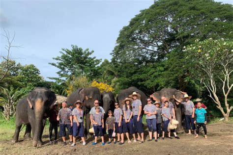 chiang mai elephant sanctuary elephant sanctuary chiang mai