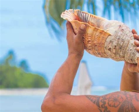 Cook Islands Honeymoon Packages Cook Islands Escapes For Couples