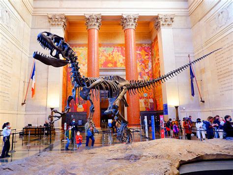 American Museum Of Natural History In New York