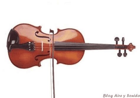 Violin  Find And Share On Giphy