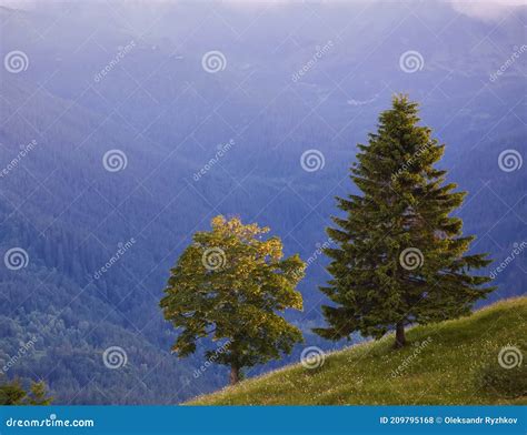 Landscape With Pine Forests In The Mountains Stock Photo Image Of