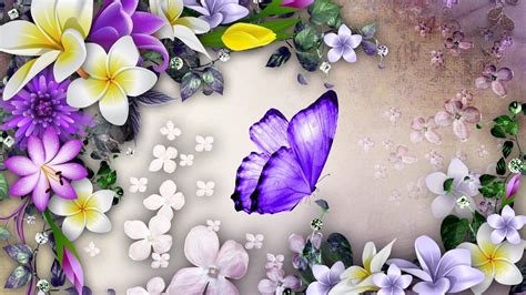 Plumeria And Butterfly Hd Wallpaper Background Image