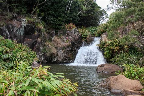 Waimea Canyon and Koke'e State Park: Best Views and Hikes - Getaway Compass