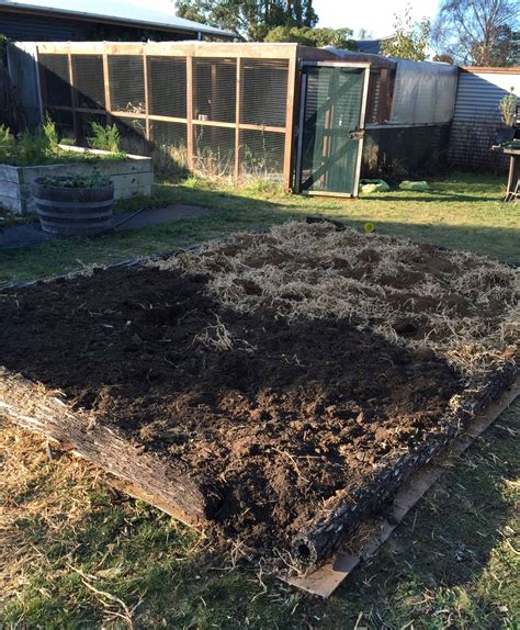 Creating A No Dig Garden Growing And Gathering