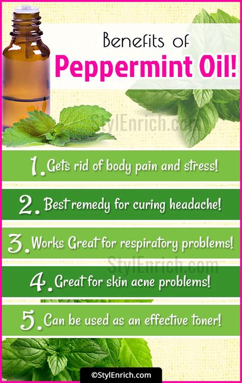 Peppermint Oil Uses 15 Reasons You Should Have Peppermint Oil