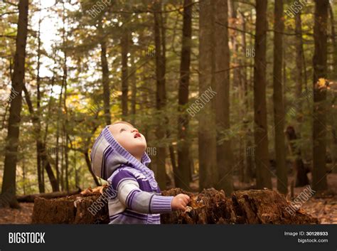 Small Child Woods Looking Sky Image And Photo Bigstock
