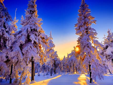 Low Winter Sun (Fernsehserie) – Wikipedia