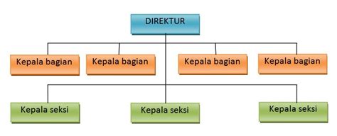 Minimal terdiri dari lima bagian utama (divisi) yaitu divisi produksi (pembuat produk), divisi pemasaran (promosi dan penjualan), divisi personalia (ketenagakerjaan), divisi pembelajaan, dan divisi umum. Contoh Struktur Organisasi Fungsional Beserta Uraian Tugasnya