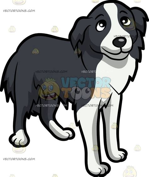 A Beautiful Border Collie Puppy Cute Dog Drawing Cute Cartoon