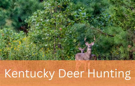 Kentucky Hunting Seasons 2023 2024 Bag Limits And Regulations