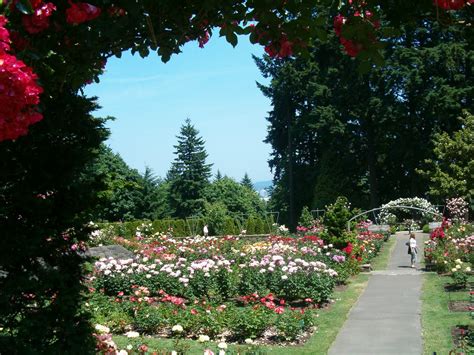 Guests can use a whole range of services: Julie's Journeys: Portland, Oregon: International Rose ...
