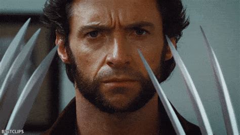 Wolverine X Men Origins Wolverine Photo 44547744 Fanpop