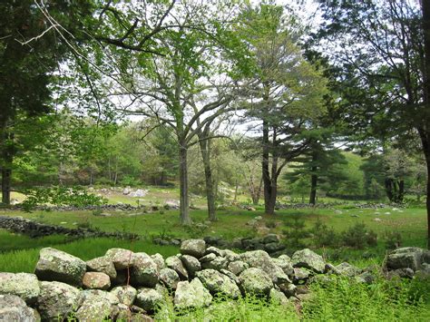 Land Use Archives - ecoRI News