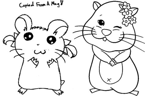 Hamster Cartoon Drawing At Getdrawings Free Download