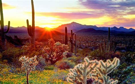 Arizona Wallpapers Top Free Arizona Backgrounds Wallpaperaccess