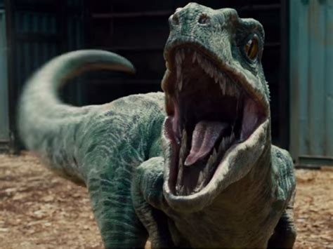 The Velociraptors In The Jurassic Park Movies Are Nothing Like Their Real Life Counterparts