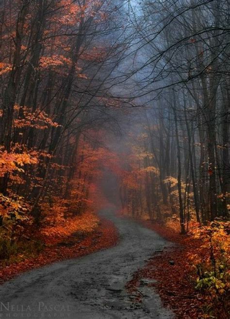 Pin By Cindy Grandstaff On Backwoods And Country Roads Beautiful Nature