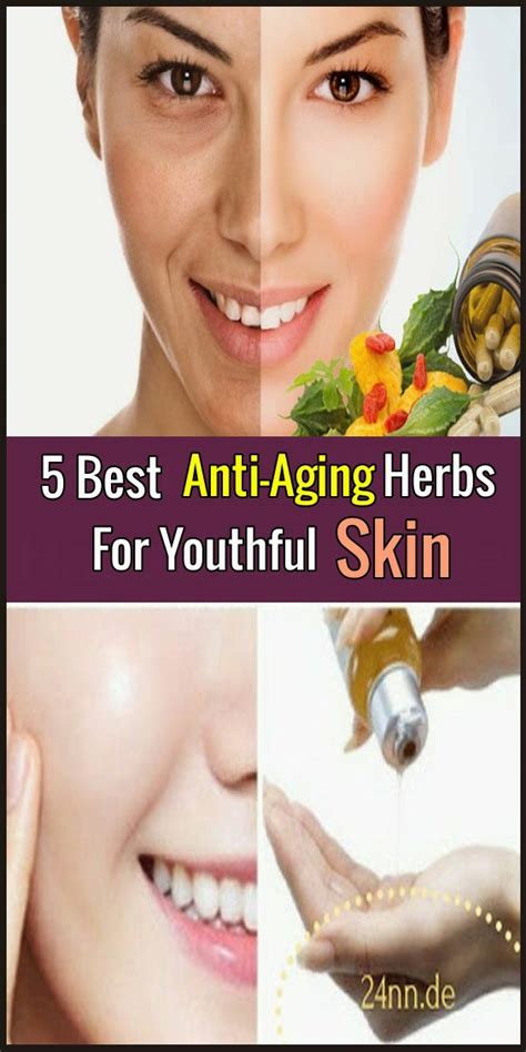 5 Best Anti Aging Herbs For Youthful Skin Beauty4everything3