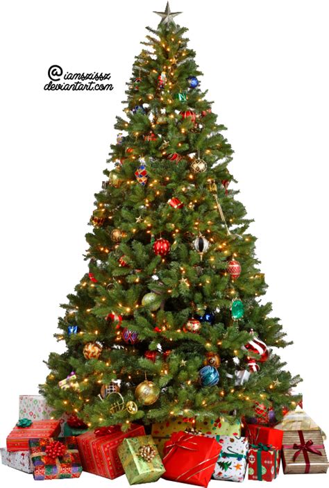 Seeking for free christmas tree png images? Xmas tree png 7 by iamszissz on DeviantArt