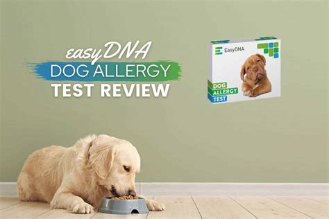 Are Dog Allergies Genetic