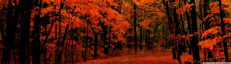 Dual Monitor Autumn Wallpapers Top Free Dual Monitor Autumn