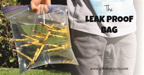 The Leak Proof Bag A Kid Friendly Science Lesson About Polymers T
