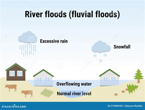 River Floods Fluvial Floods Flooding Infographic Flood Natural