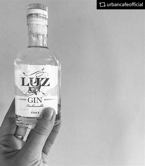 Luz Gin Home