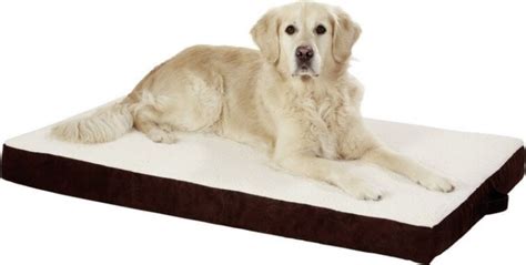 Ein orthopädisches bett hält die wirbelsäule gerade und verleiht dem hund einen gesunden schlaf. orthopädisches, rechteckiges Bett - Ortho Bed