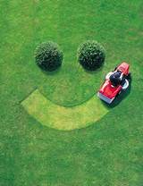 Lawn Mower Repair Mansfield Tx
