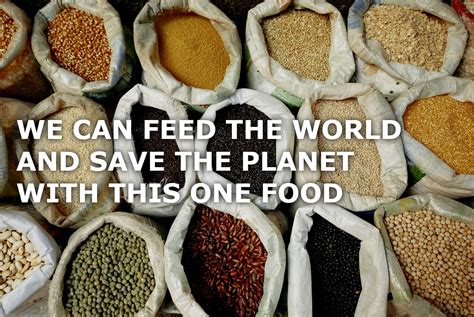 Feed The World And Save The Planet With This One Food Spudca