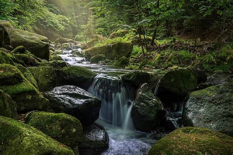 Waters Waterfall River Moss Nature Pikist