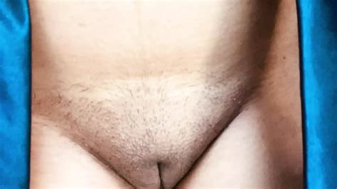 Desi Indian Hairy Pussy XHamster