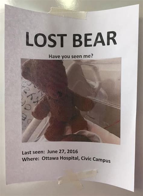 Search On For Lost Teddy Bear Ctv Ottawa News