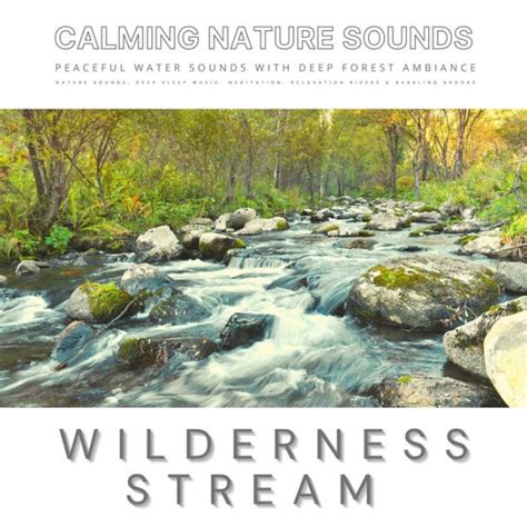 Peaceful Water Sounds With Deep Forest Ambiance Wilderness Stream