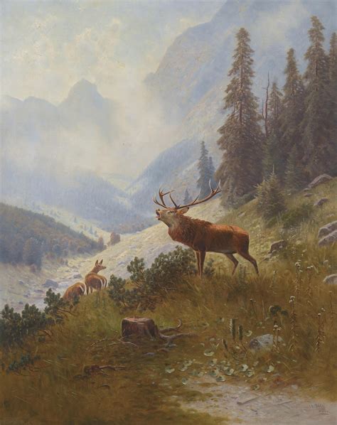 Buck On A Mountainside Free Stock Photo Public Domain Pictures