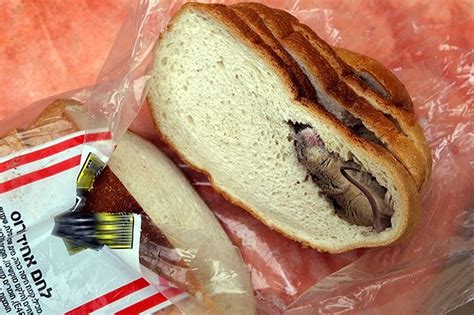 Subway Sandwich Vastly Improved By Addition Of Dead Mouse Subway Sandwich Sandwiches Food